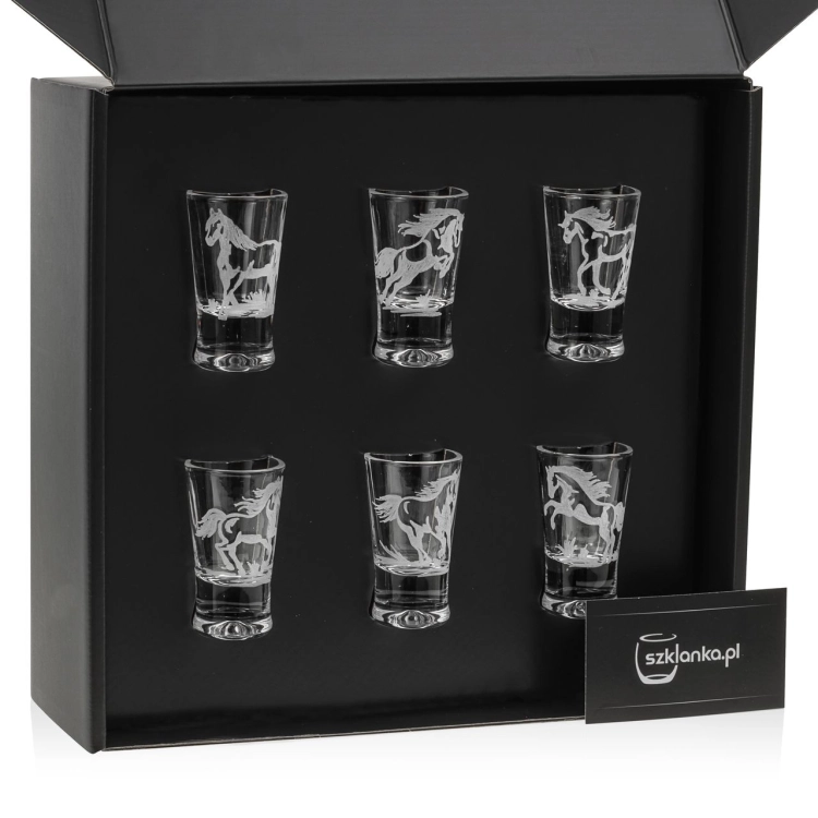 Kieliszki do wódki KONIE (G0090) 25ml 6szt. w pudełku Szklanka.pl