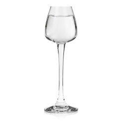 Kieliszki do wódki likieru BOHEMIA Anser 70 ml | 6 szt.