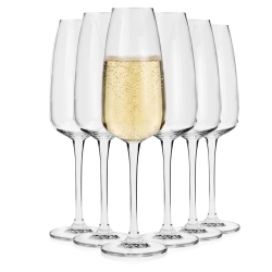 Kieliszki do szampana BOHEMIA Anser 290 ml | 6 szt.