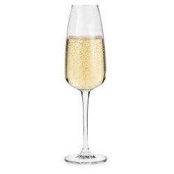 Kieliszki do szampana BOHEMIA Anser 290 ml | 6 szt.