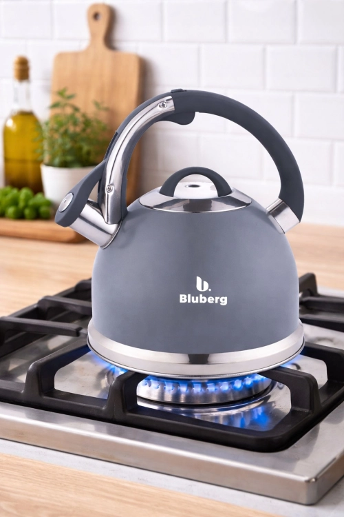 Czajnik tradycyjny z gwizdkiem Szary Bluberg 3L Indukcja Gaz BB-2804