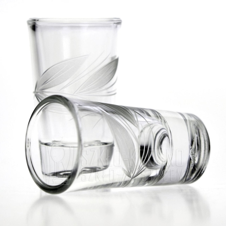 Komplet szkła użytkowego, zdobiony kieliszki + szklanki 36 el. "Listek II"