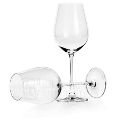 Kieliszki do wina czerwonego BOHEMIA Columba 500ml